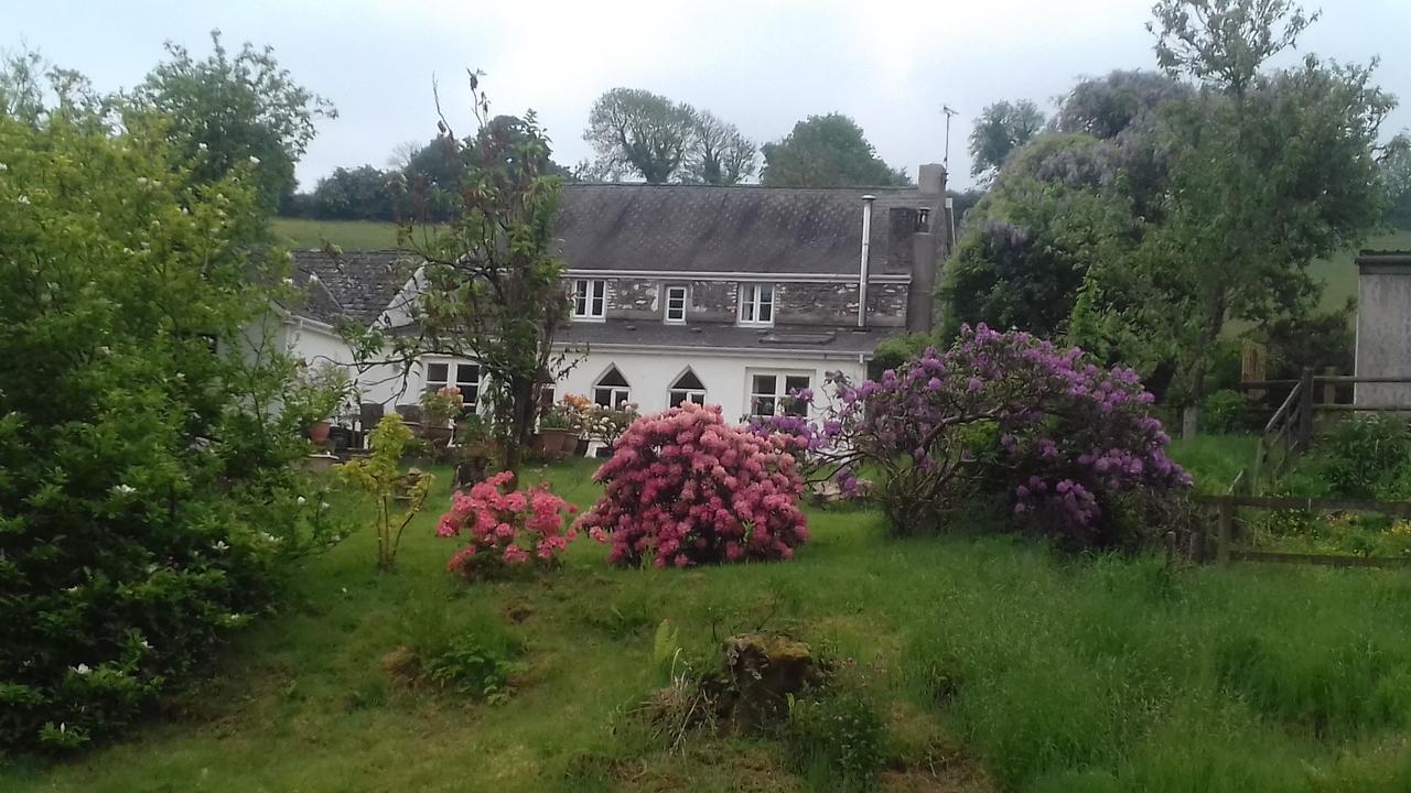 Hills Farm B&B Laugharne Eksteriør bilde